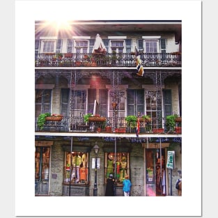 Sunny New Orleans French Quarter Nola Home with Iconic Blue Gray Architecture and Botanical Greenery in Southern Louisiana Posters and Art